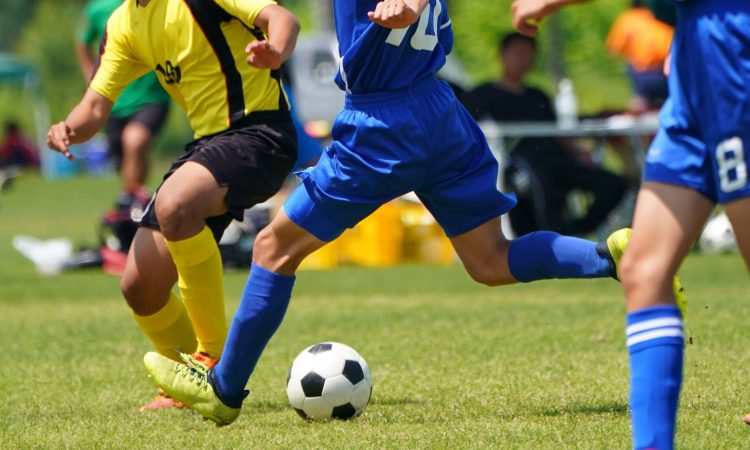 AdobeStock_219104348