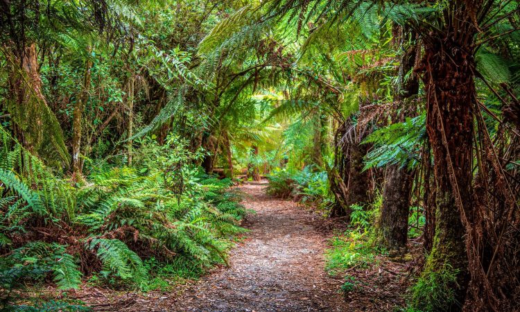 AdobeStock_381825992